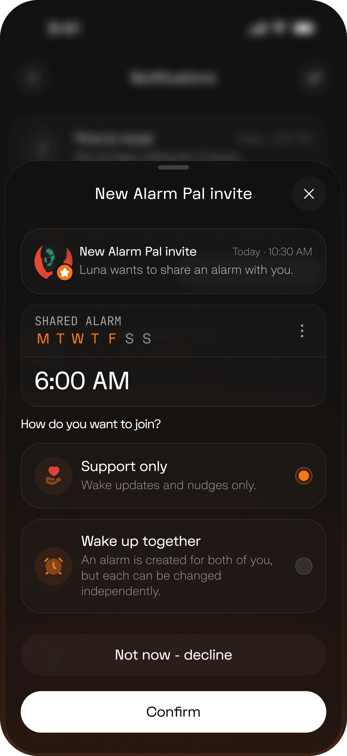Alarm pal screen